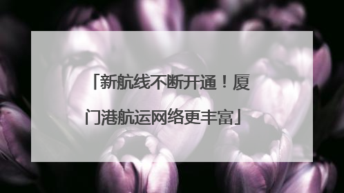 新航线不断开通！厦门港航运网络更丰富