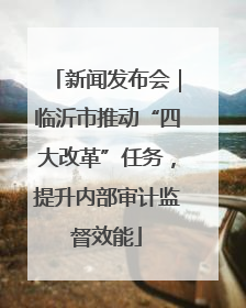 新闻发布会｜临沂市推动“四大改革”任务，提升内部审计监督效能