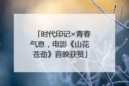 时代印记×青春气息，电影《山花苍劲》首映获赞