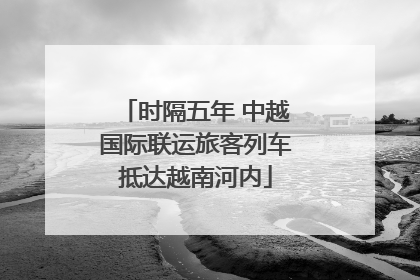 时隔五年 中越国际联运旅客列车抵达越南河内