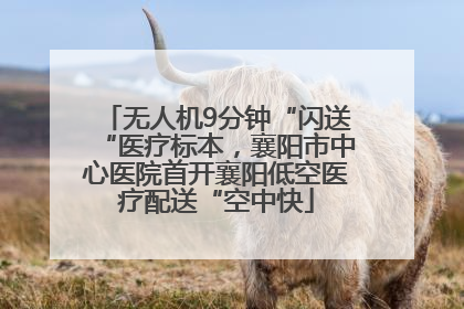 无人机9分钟“闪送“医疗标本，襄阳市中心医院首开襄阳低空医疗配送“空中快