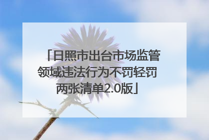 日照市出台市场监管领域违法行为不罚轻罚两张清单2.0版