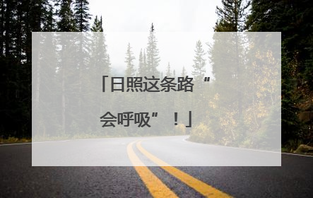 日照这条路“会呼吸”！