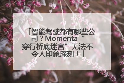 智能驾驶都有哪些公司？Momenta“穿行桥底迷宫”无法不令人印象深刻！