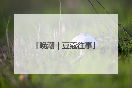 晚潮｜豆蔻往事