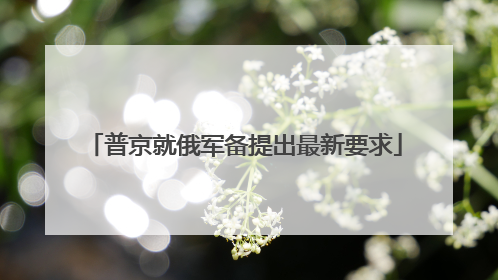 普京就俄军备提出最新要求
