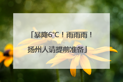 暴降6℃！雨雨雨！扬州人请提前准备