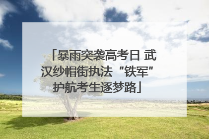 暴雨突袭高考日 武汉纱帽街执法“铁军”护航考生逐梦路