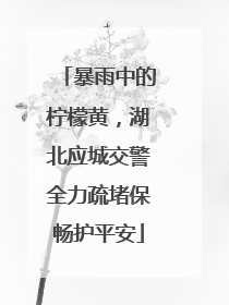 暴雨中的柠檬黄，湖北应城交警全力疏堵保畅护平安
