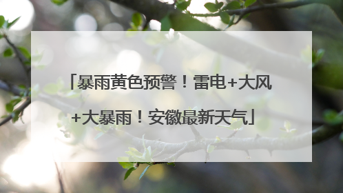 暴雨黄色预警！雷电+大风+大暴雨！安徽最新天气