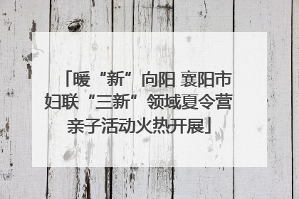 暖“新”向阳 襄阳市妇联“三新”领域夏令营亲子活动火热开展