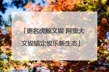 更名虎鲸文娱 阿里大文娱锚定娱乐新生态