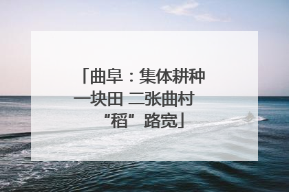 曲阜：集体耕种一块田 二张曲村“稻”路宽