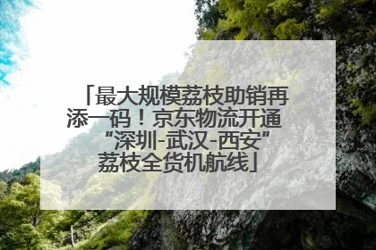 最大规模荔枝助销再添一码！京东物流开通“深圳-武汉-西安” 荔枝全货机航线