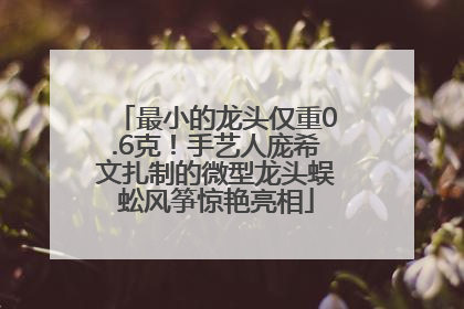 最小的龙头仅重0.6克！手艺人庞希文扎制的微型龙头蜈蚣风筝惊艳亮相