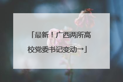 最新！广西两所高校党委书记变动→