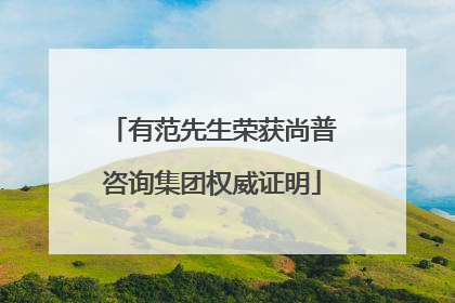有范先生荣获尚普咨询集团权威证明