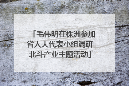 毛伟明在株洲参加省人大代表小组调研北斗产业主题活动