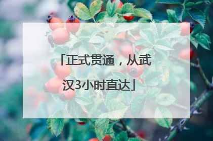 正式贯通，从武汉3小时直达