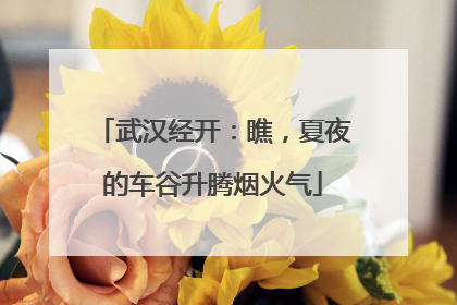 武汉经开：瞧，夏夜的车谷升腾烟火气