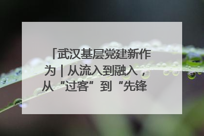 武汉基层党建新作为｜从流入到融入，从“过客”到“先锋” 武汉为流动党员筑起温暖之家