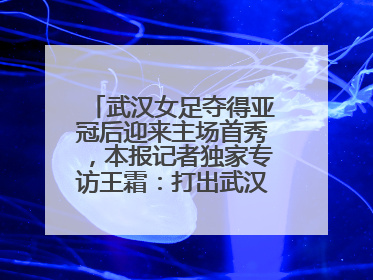 武汉女足夺得亚冠后迎来主场首秀，本报记者独家专访王霜：打出武汉人不服输精气神