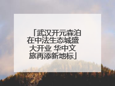 武汉开元森泊在中法生态城盛大开业 华中文旅再添新地标