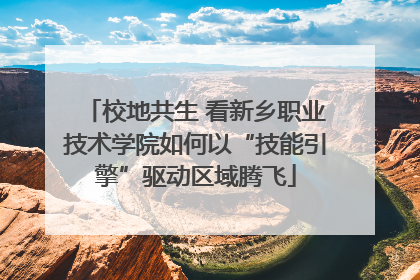 校地共生 看新乡职业技术学院如何以“技能引擎”驱动区域腾飞