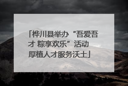 桦川县举办“吾爱吾才 粽享欢乐”活动 厚植人才服务沃土
