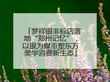 梦祥银非标店落地“郑州记忆”，以银为媒重塑东方美学消费新生态