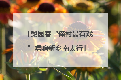 梨园春“俺村最有戏”唱响新乡南太行