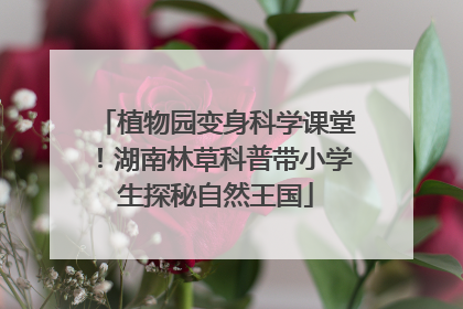 植物园变身科学课堂！湖南林草科普带小学生探秘自然王国