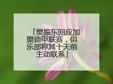 樊振东回应加盟德甲联赛，俱乐部称其十天前主动联系
