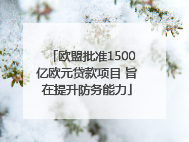 欧盟批准1500亿欧元贷款项目 旨在提升防务能力