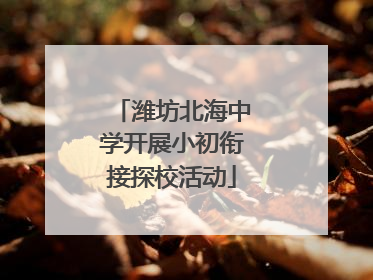 潍坊北海中学开展小初衔接探校活动