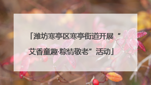 潍坊寒亭区寒亭街道开展“艾香童趣·粽情敬老”活动