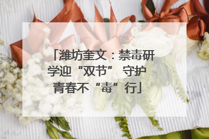 潍坊奎文：禁毒研学迎“双节” 守护青春不“毒”行