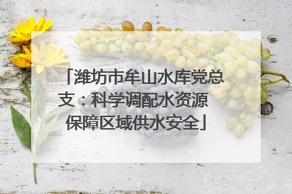 潍坊市牟山水库党总支：科学调配水资源 保障区域供水安全