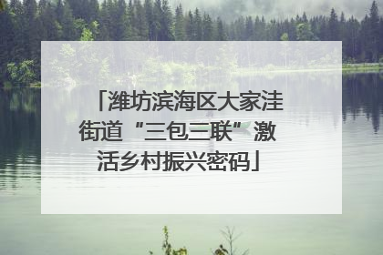 潍坊滨海区大家洼街道“三包三联”激活乡村振兴密码