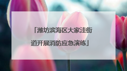 潍坊滨海区大家洼街道开展消防应急演练