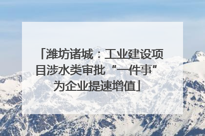 潍坊诸城：工业建设项目涉水类审批“一件事” 为企业提速增值