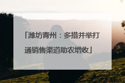 潍坊青州：多措并举打通销售渠道助农增收