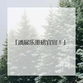 潘展乐重磅官宣！