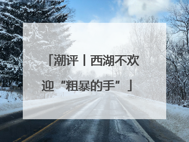 潮评丨西湖不欢迎“粗暴的手”