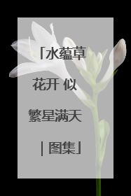 水蕴草花开 似繁星满天｜图集
