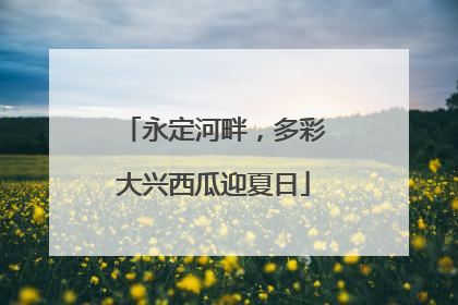 永定河畔，多彩大兴西瓜迎夏日