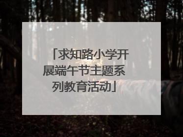求知路小学开展端午节主题系列教育活动