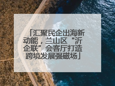 汇聚民企出海新动能，兰山区“沂企联”会客厅打造跨境发展强磁场