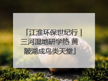 江淮环保世纪行｜三河湿地研学热 黄陂湖成鸟类天堂