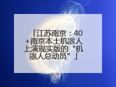 江苏南京：40+南京本土机器人上演现实版的“机器人总动员”